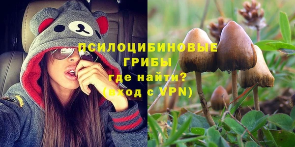 мяу мяу мука Алзамай