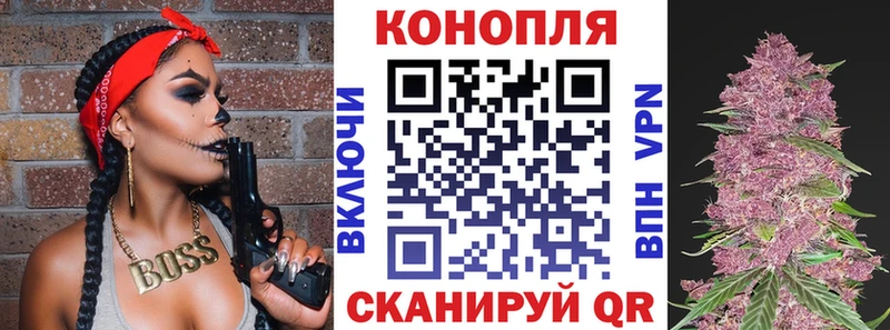 Бошки Шишки план Сураж
